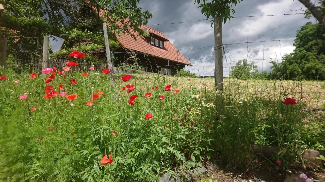 Gaestehaus Der Gamser Winzerstube Bad Gams Экстерьер фото
